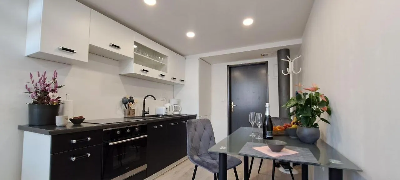 Ljubljana Nest- Centre, Free Parking- Renovated August 2024 Apartment